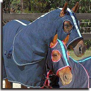 Photo: Tweed Equestrian Saddlery